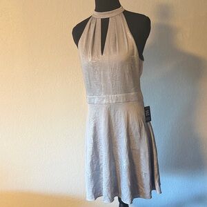 Express Shimmering Silver Mini Dress